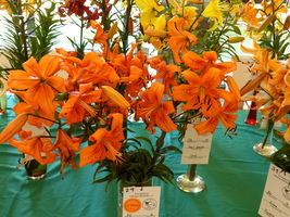 Foto: Dr. Peter Müller